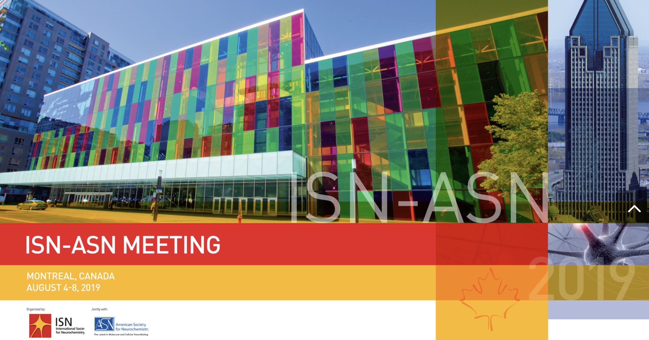 Amin selected to present at the Young Members Symposia at the ISN 2019 meeting