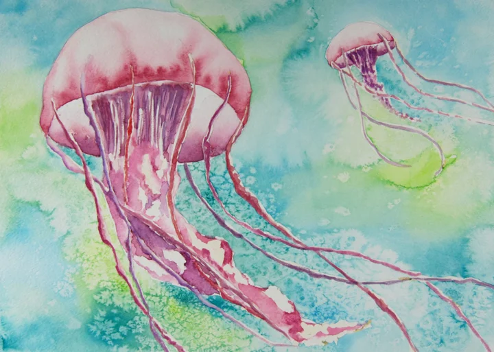 Jelly 1.jpg