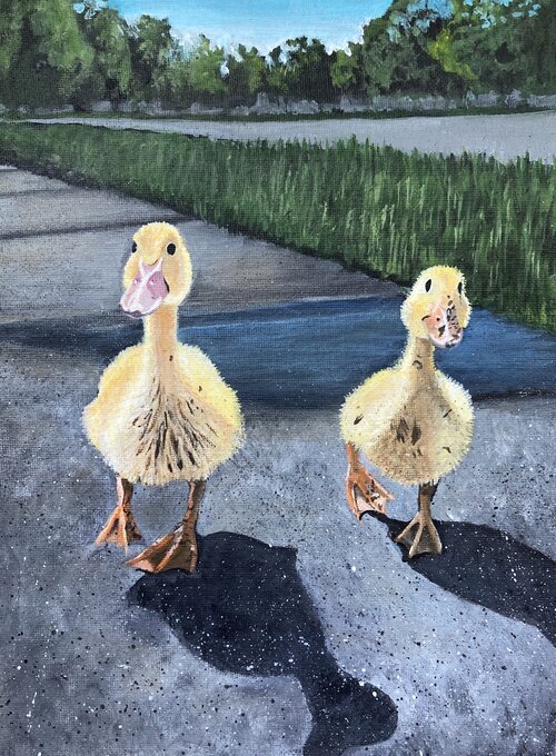 Ducks.jpg