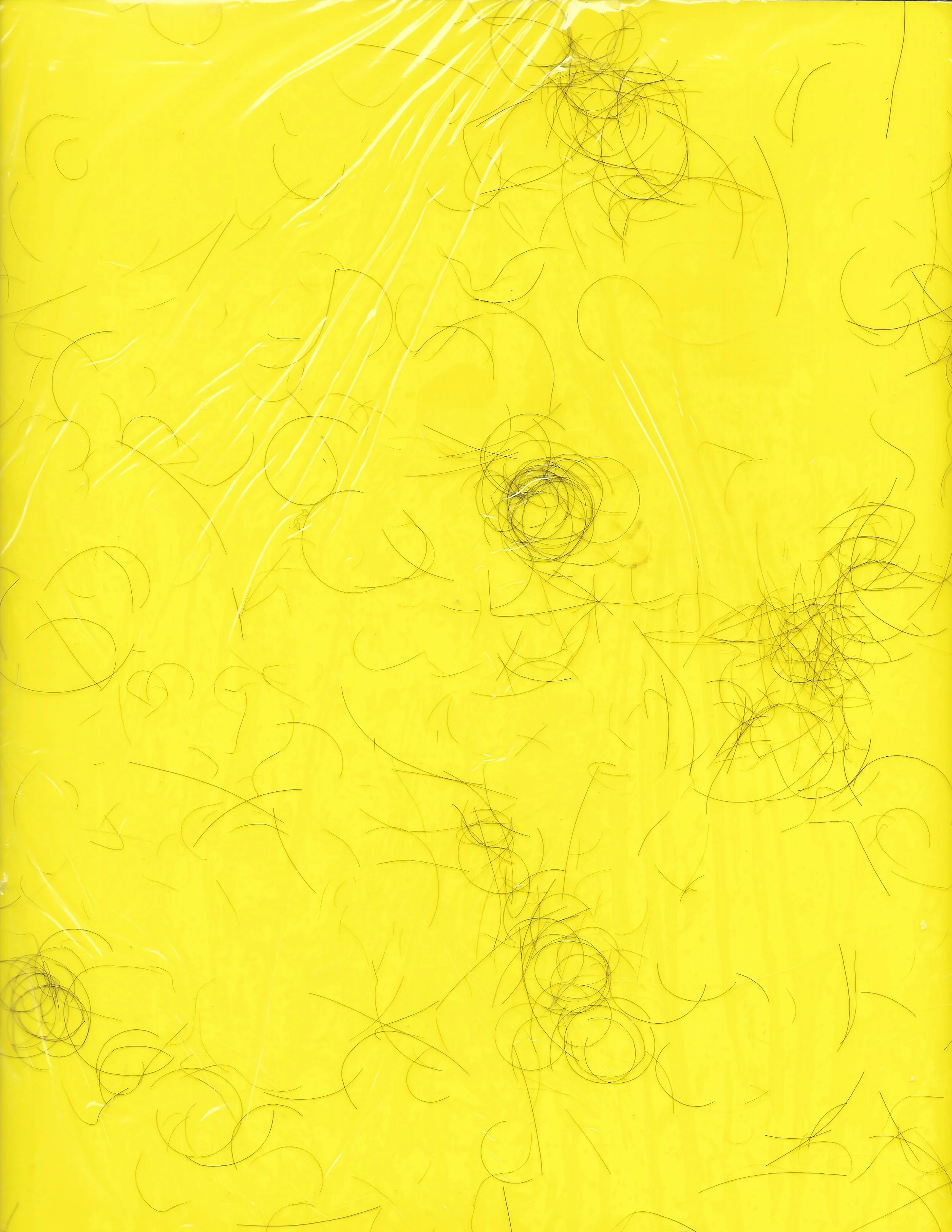 Scan 18.jpeg
