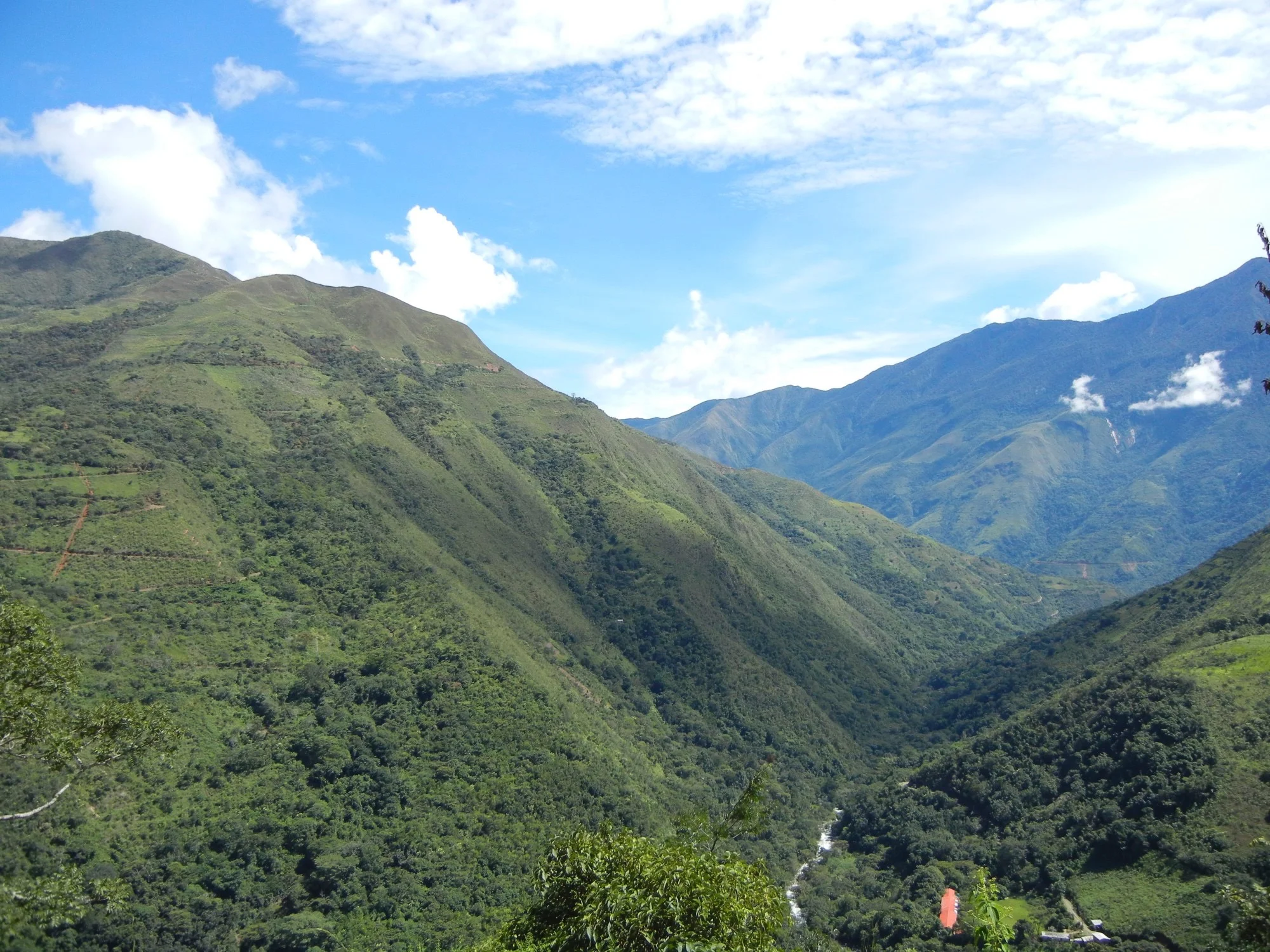 DSCN0967.jpg