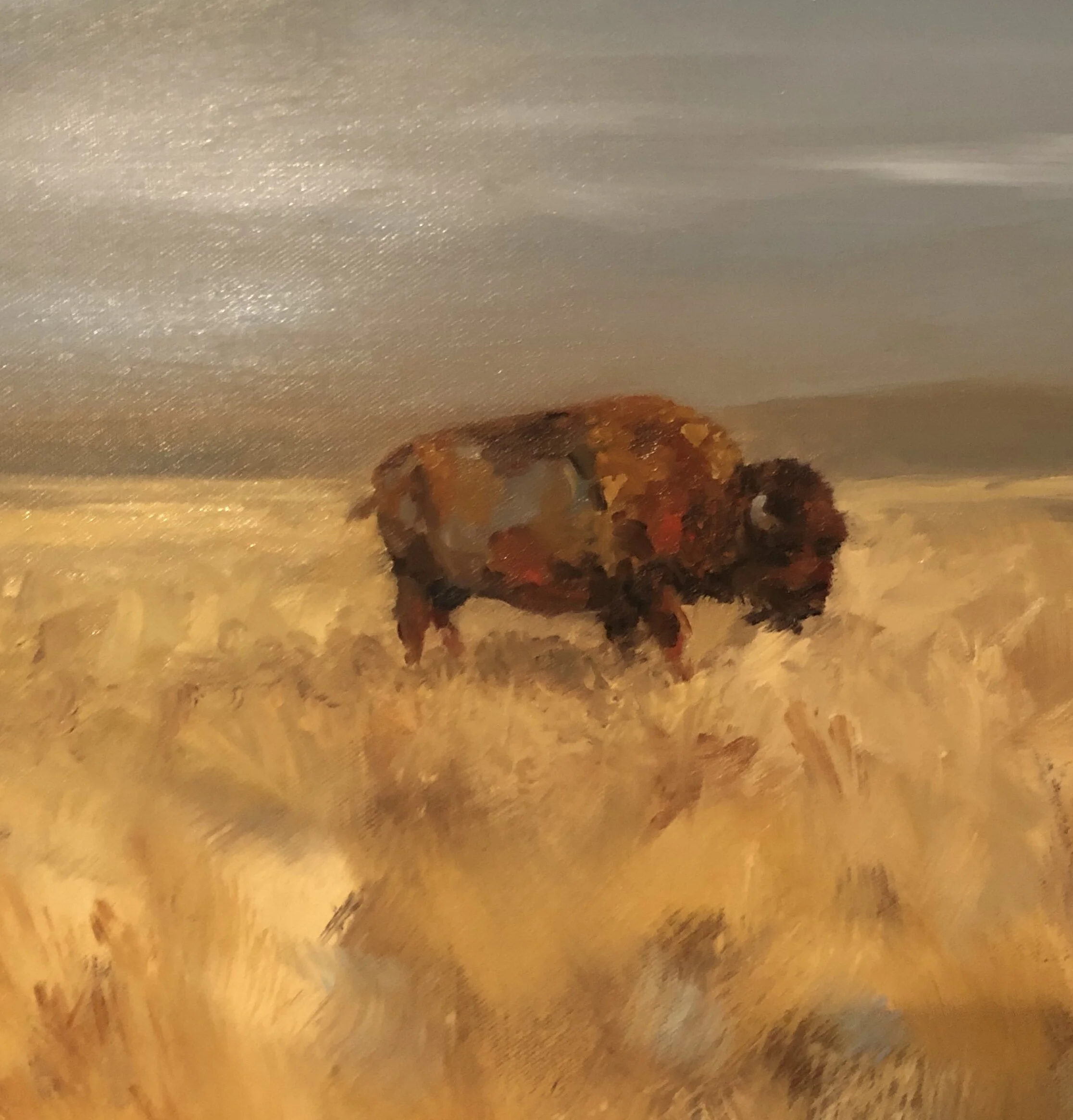 "August Gold"