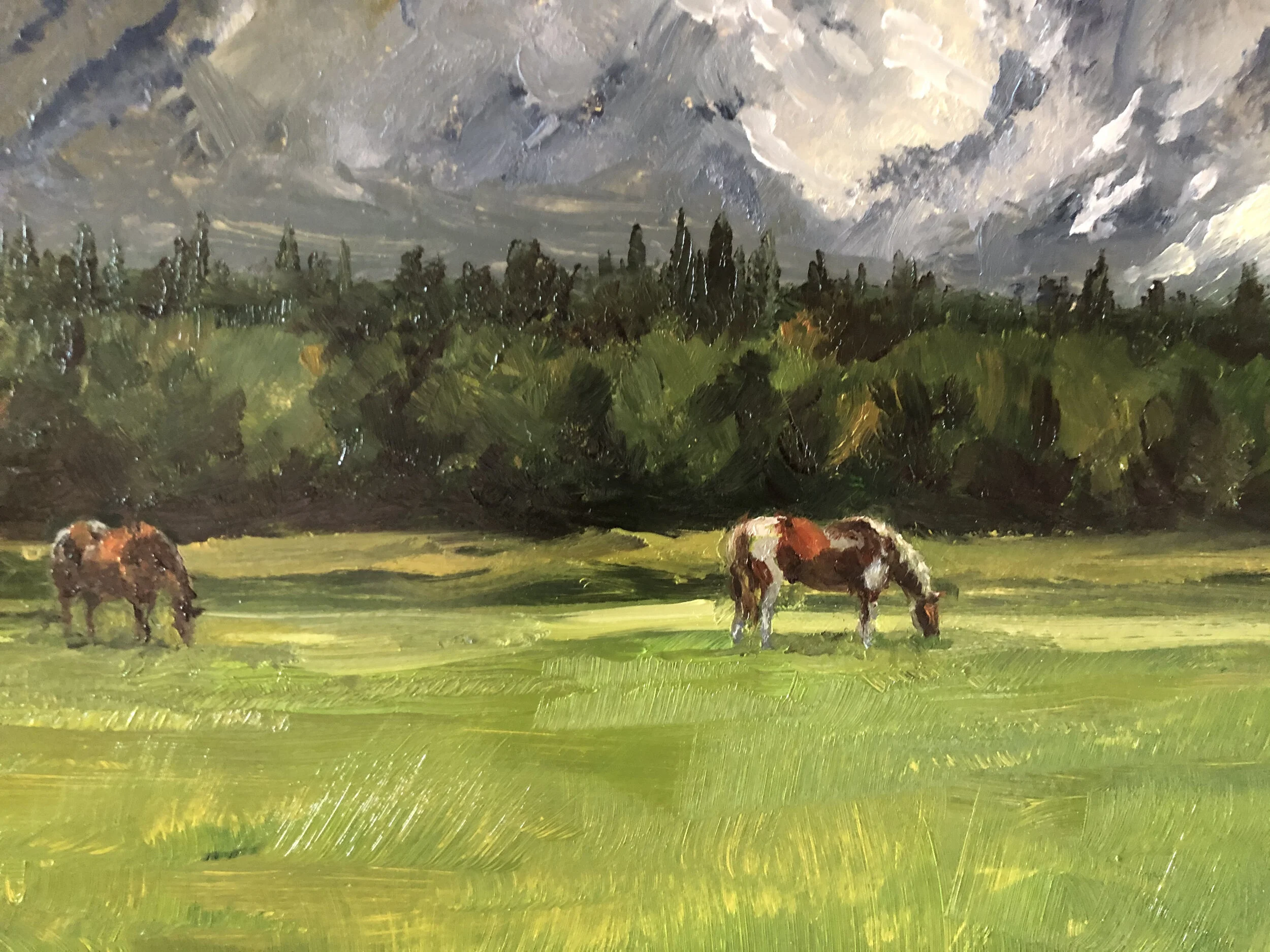 "Teton Graze"