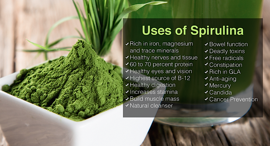 spirulina.png