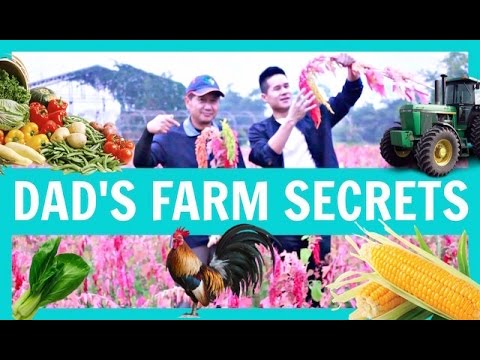 City Boy to Farm Living