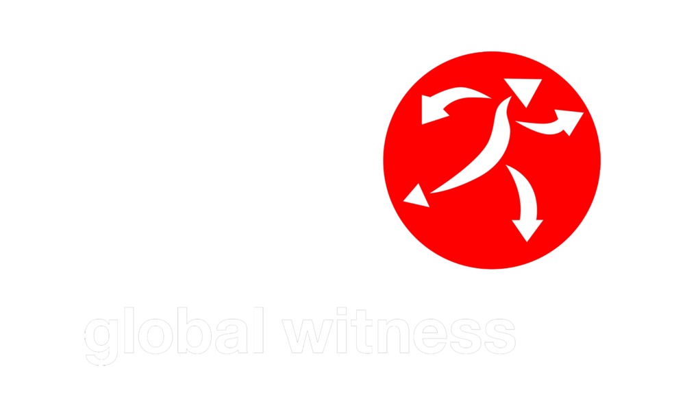 global witness.png