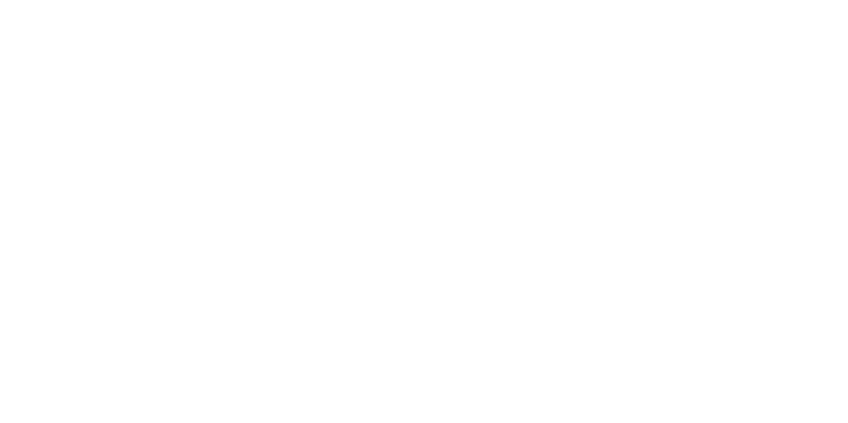 Public Welfare Logo Crop.png