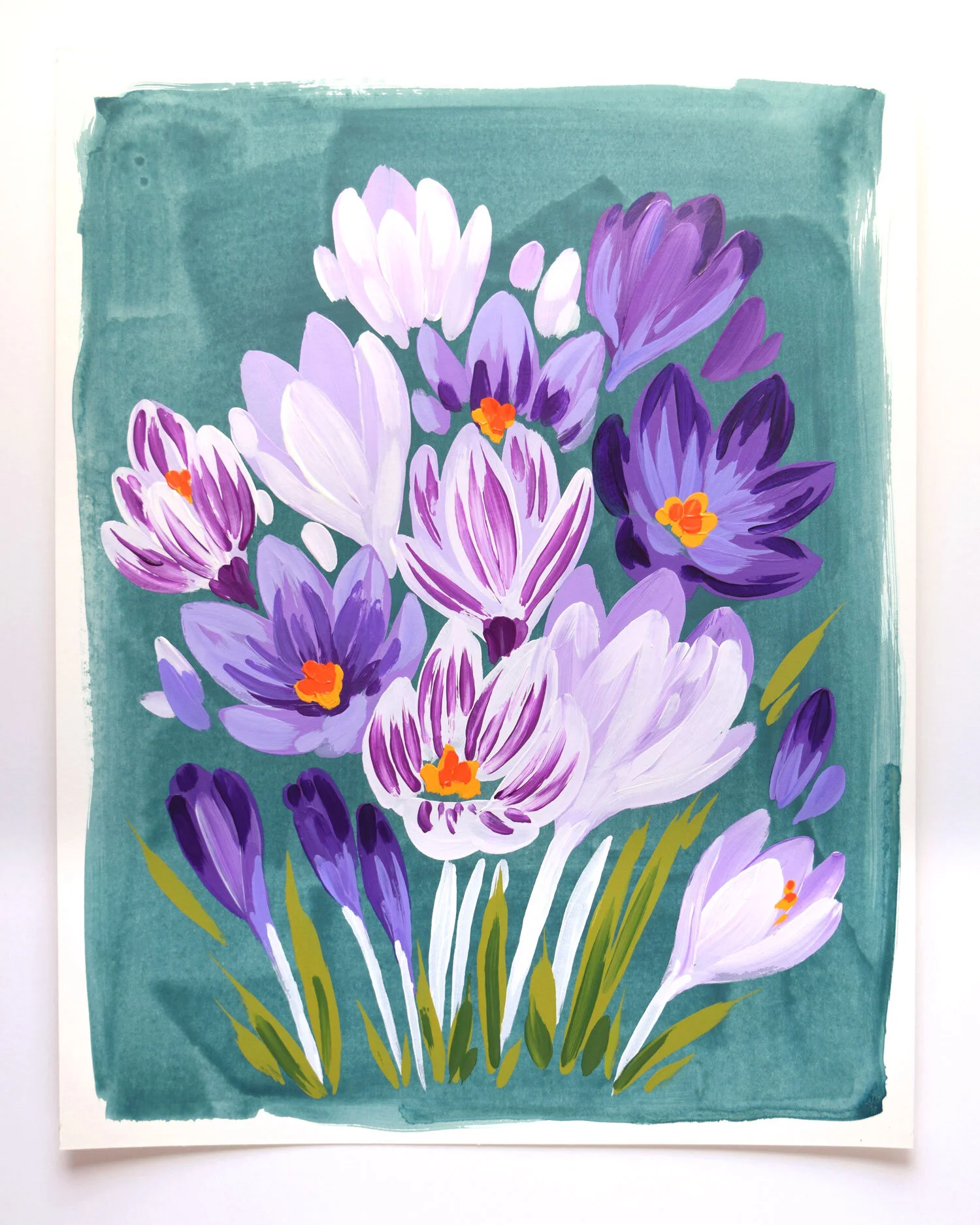 Crocus - 11x14