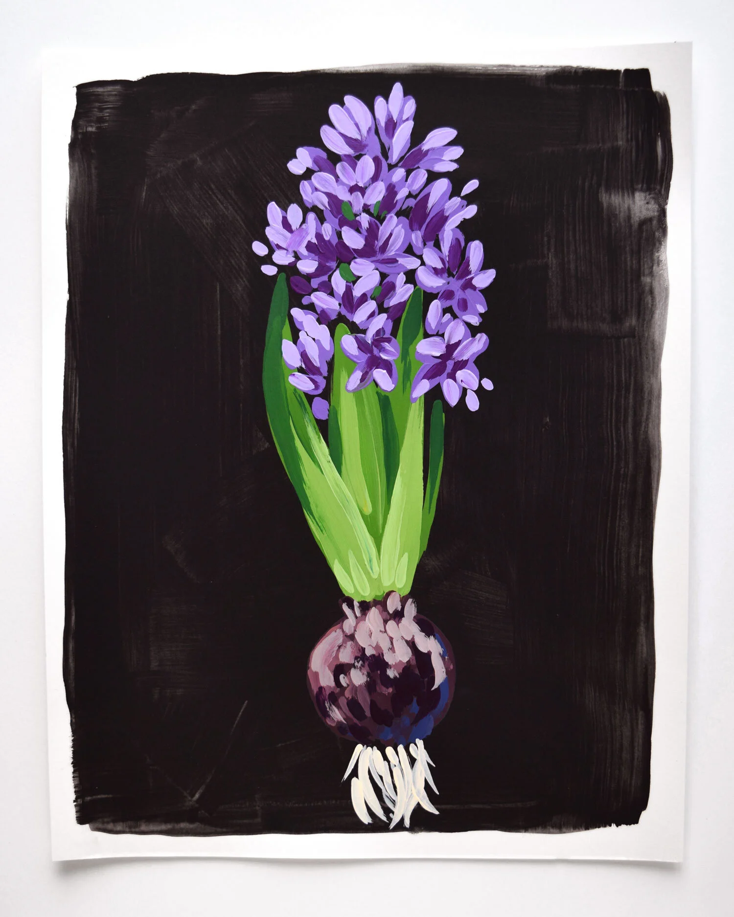 Hyacinth 1 - 11x14