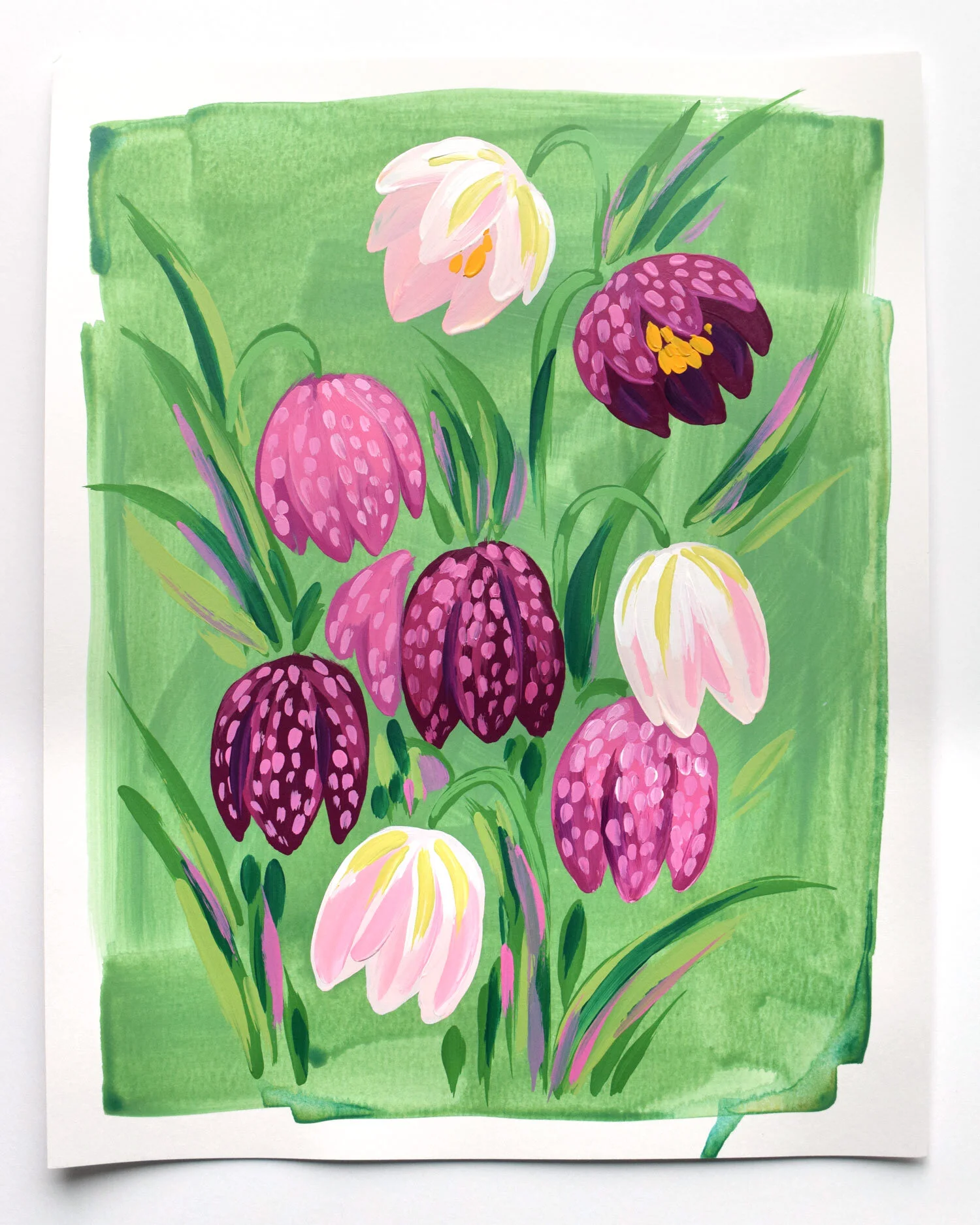 Fritillaria 1 - 11x14