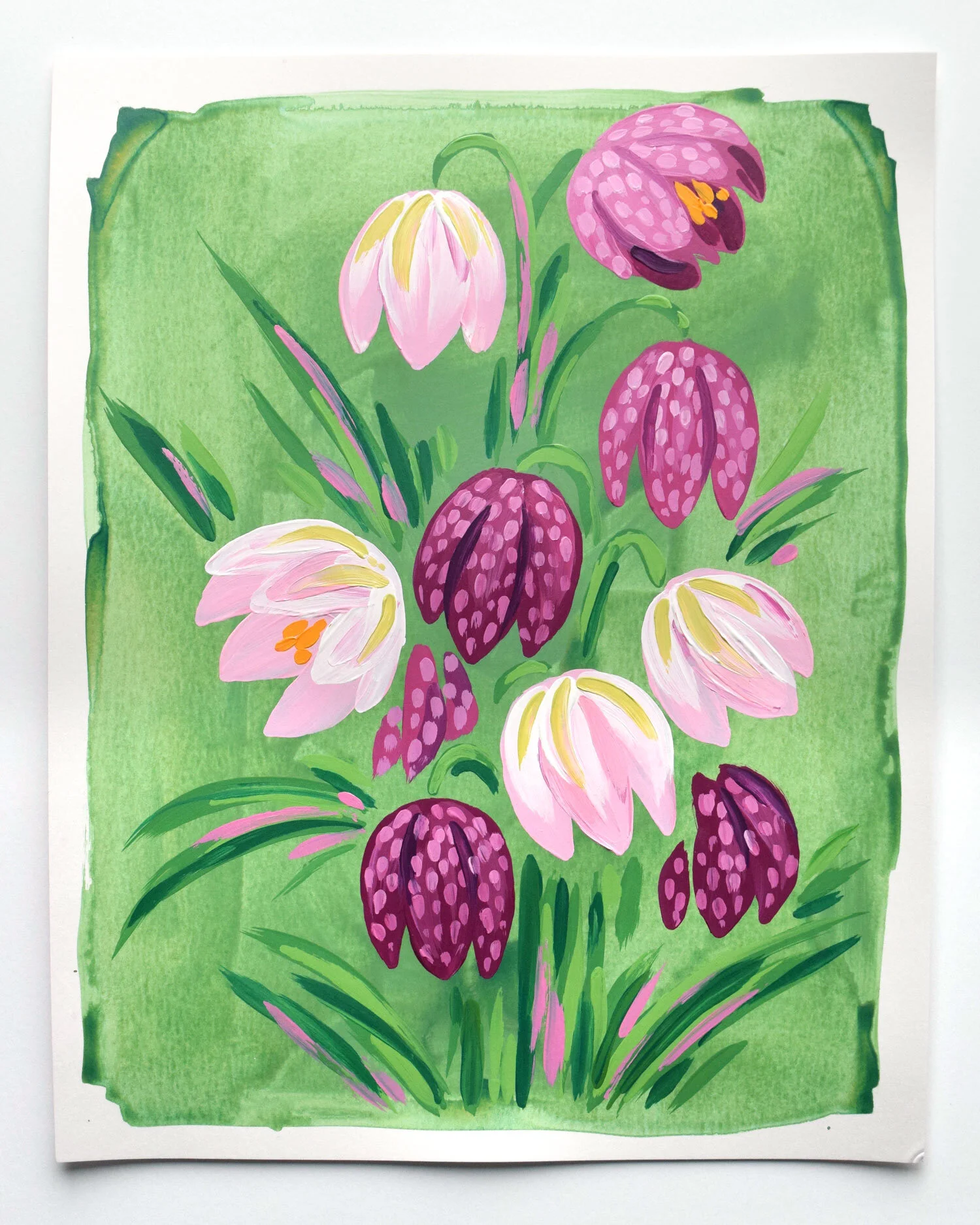 Fritillaria 2 - 11x14