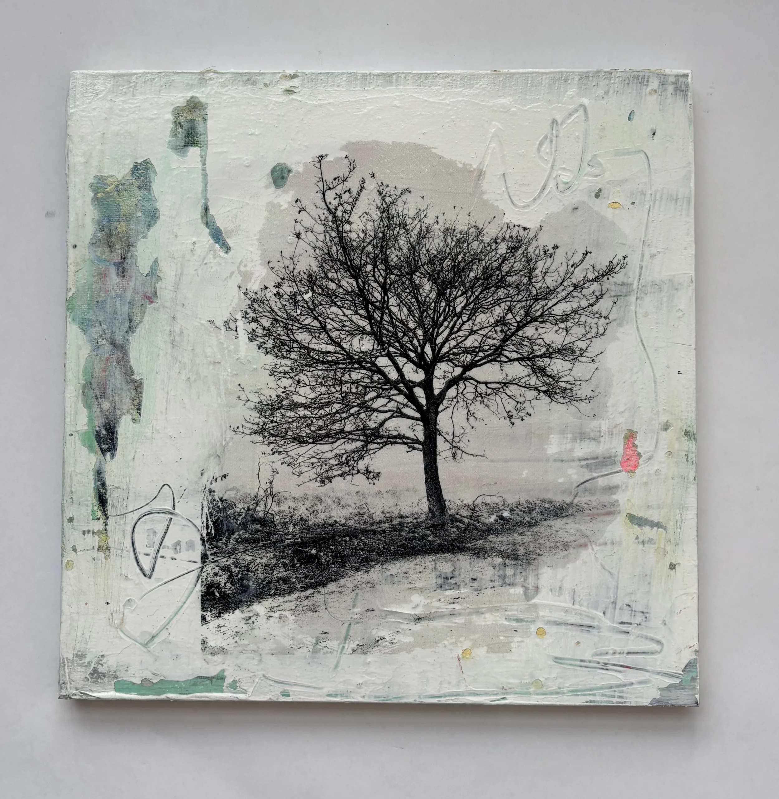 Friends nearby series