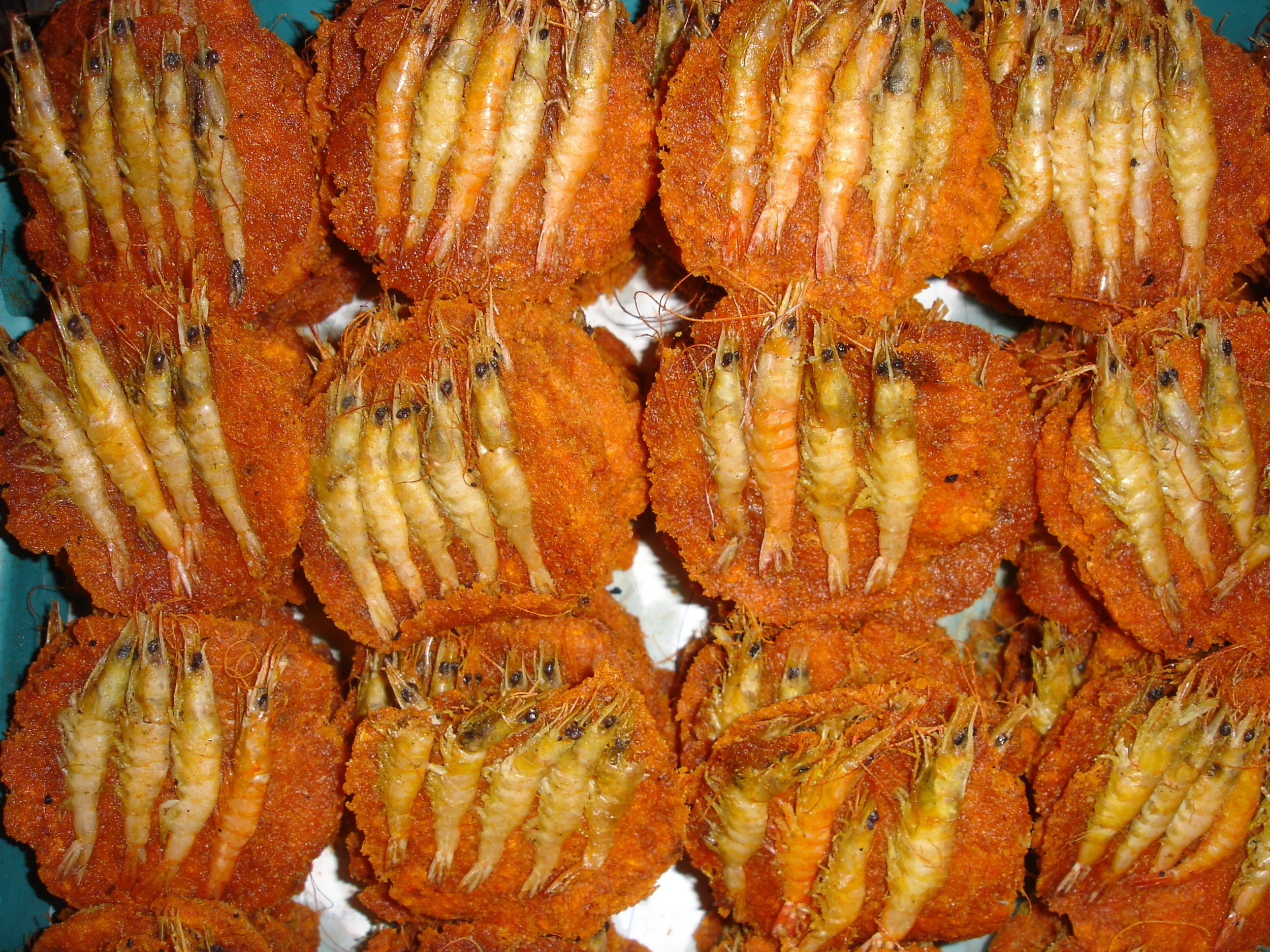 DSC03142.JPG