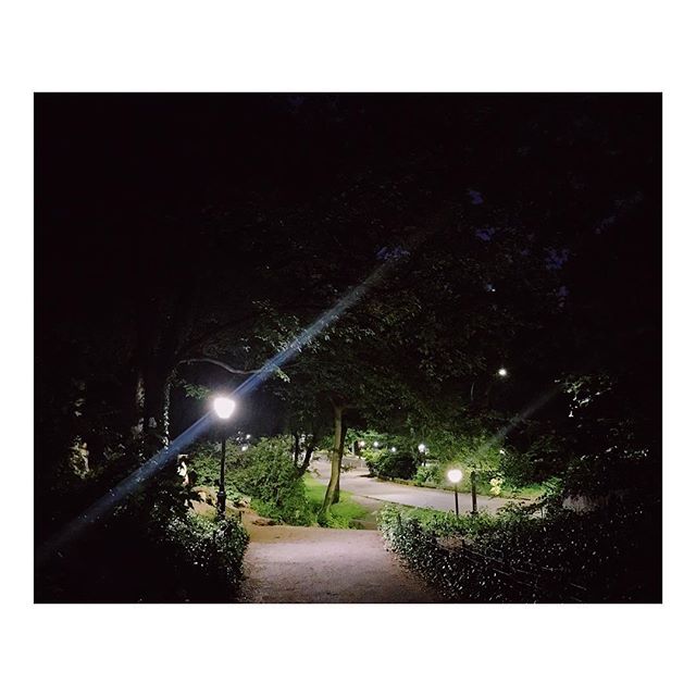 How beautifully you light the way. Thankful for this time and for answered prayers #fruitfulwaiting #꿈인가생시인가 #생시네
