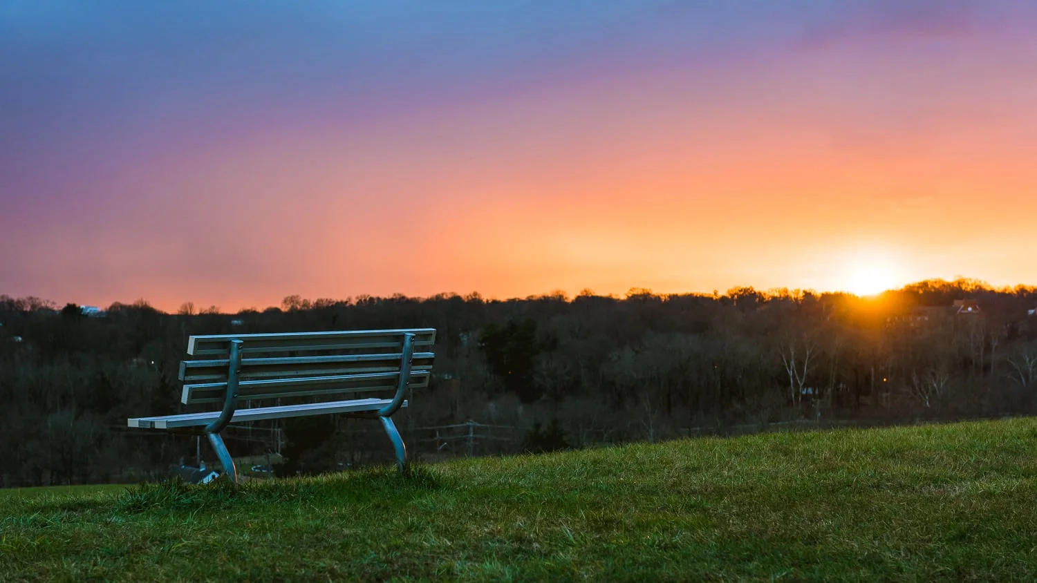 Bench
