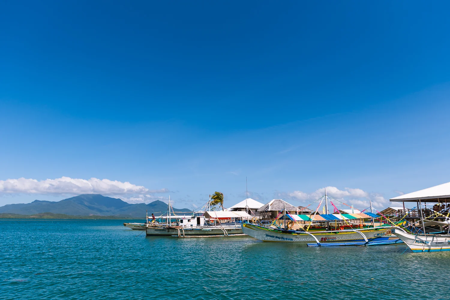 2016 Philippines Trip - Part 2 - Palawan LR-21.jpg