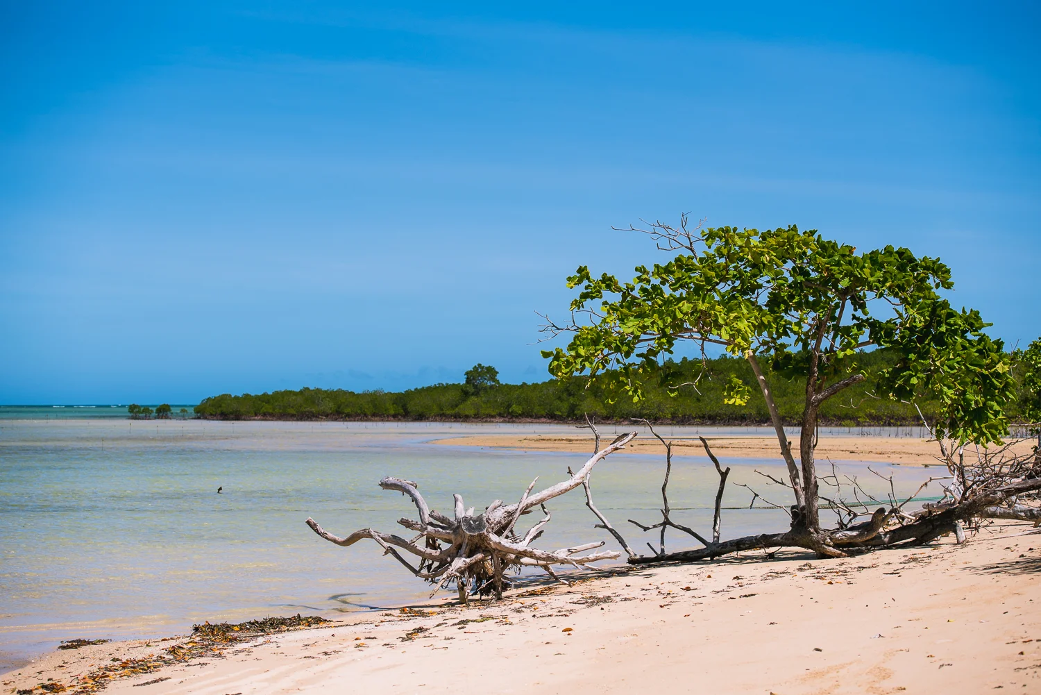 2016 Philippines Trip - Part 2 - Palawan LR-56.jpg