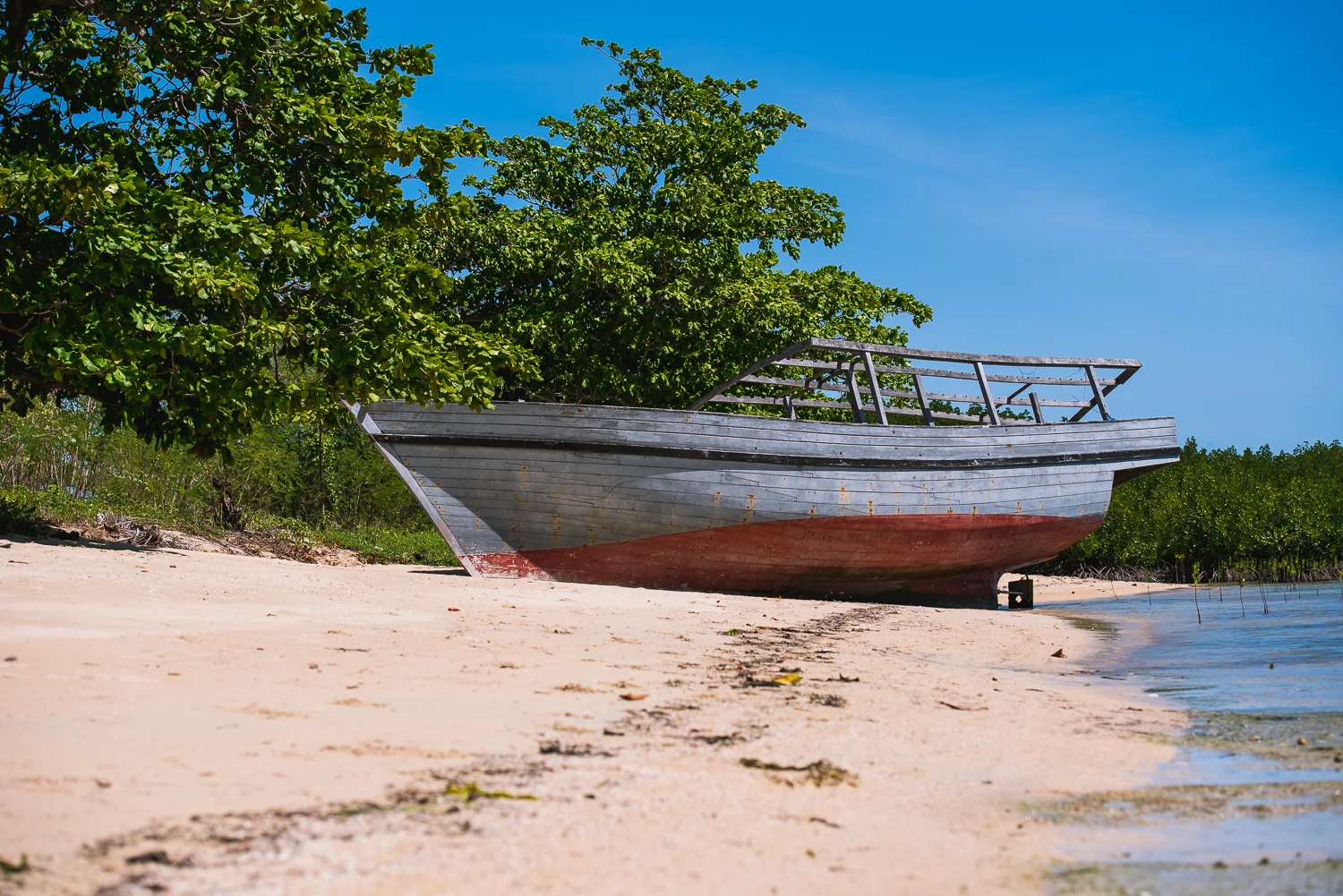 2016 Philippines Trip - Part 2 - Palawan LR-59.jpg
