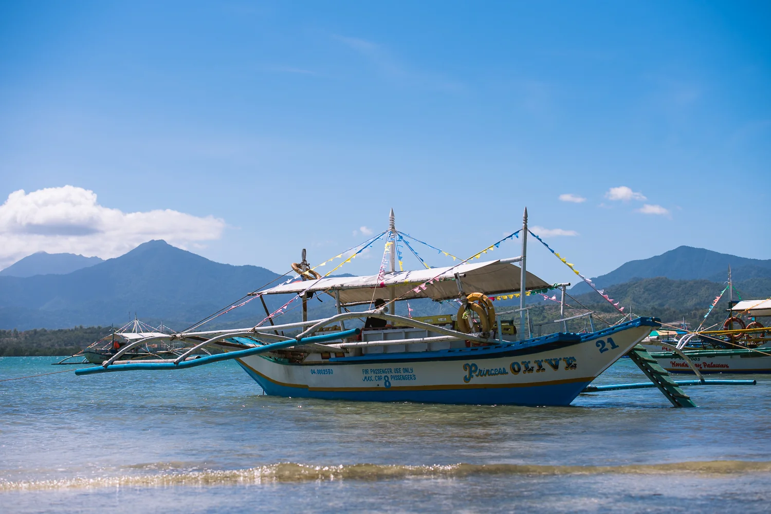 2016 Philippines Trip - Part 2 - Palawan LR-61.jpg