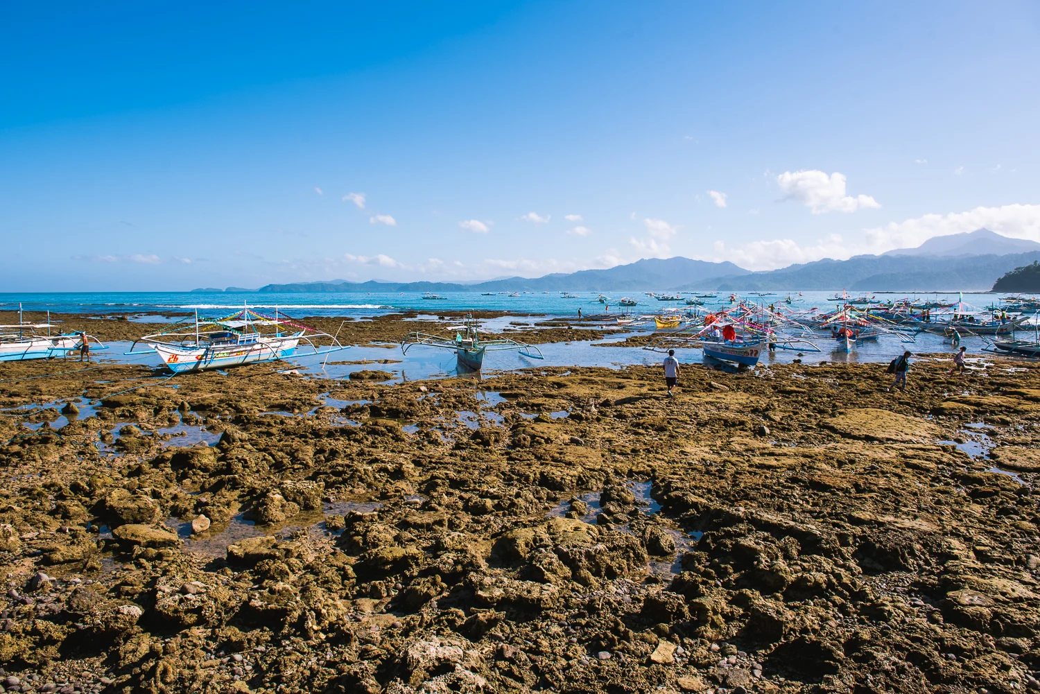 2016 Philippines Trip - Part 2 - Palawan LR-75.jpg