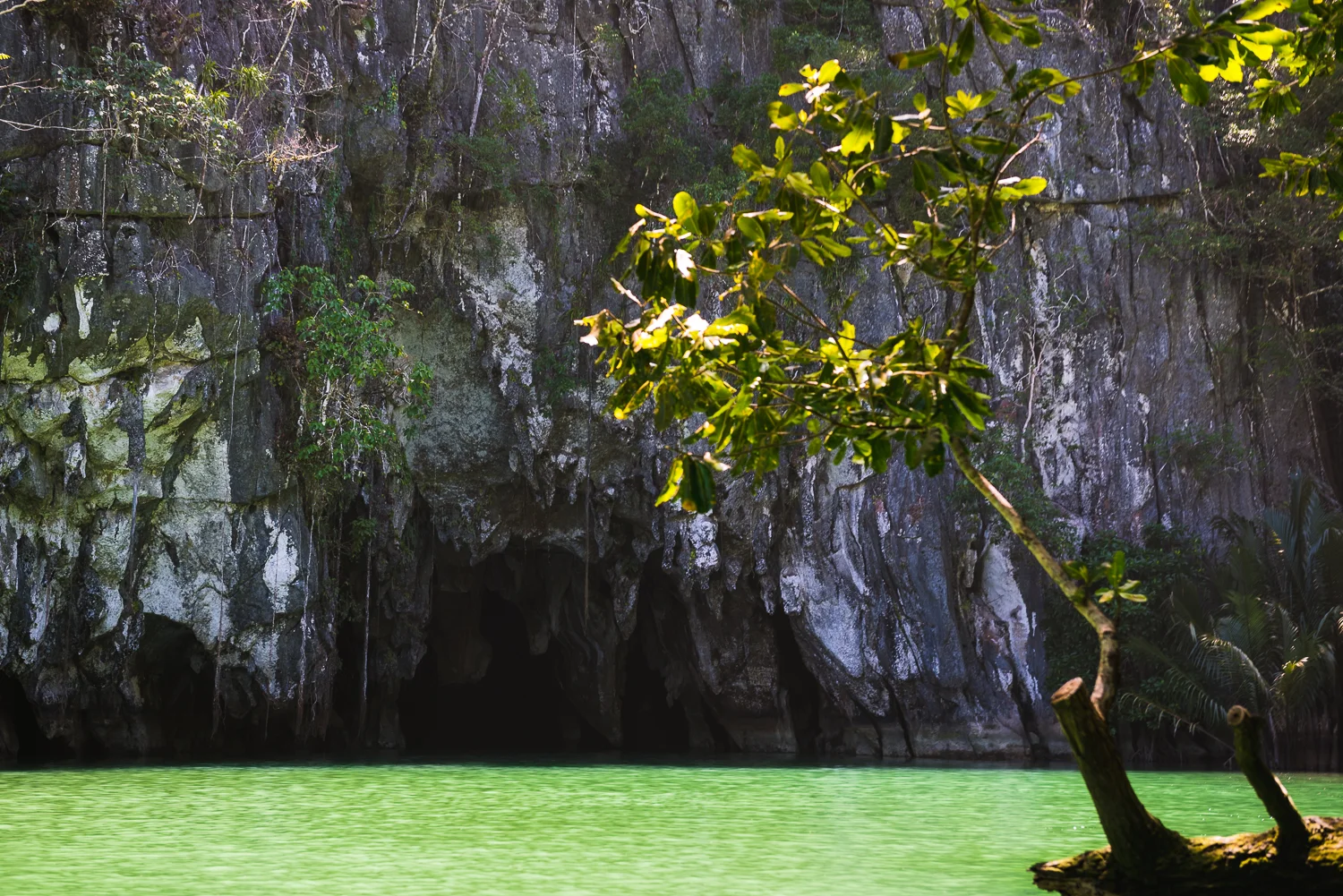 2016 Philippines Trip - Part 2 - Palawan LR-88.jpg