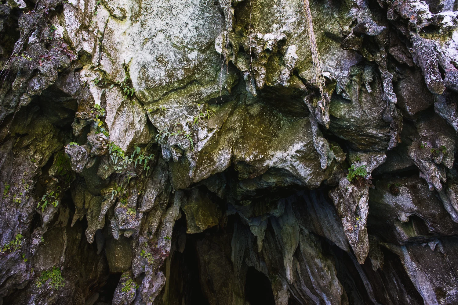 2016 Philippines Trip - Part 2 - Palawan LR-89.jpg