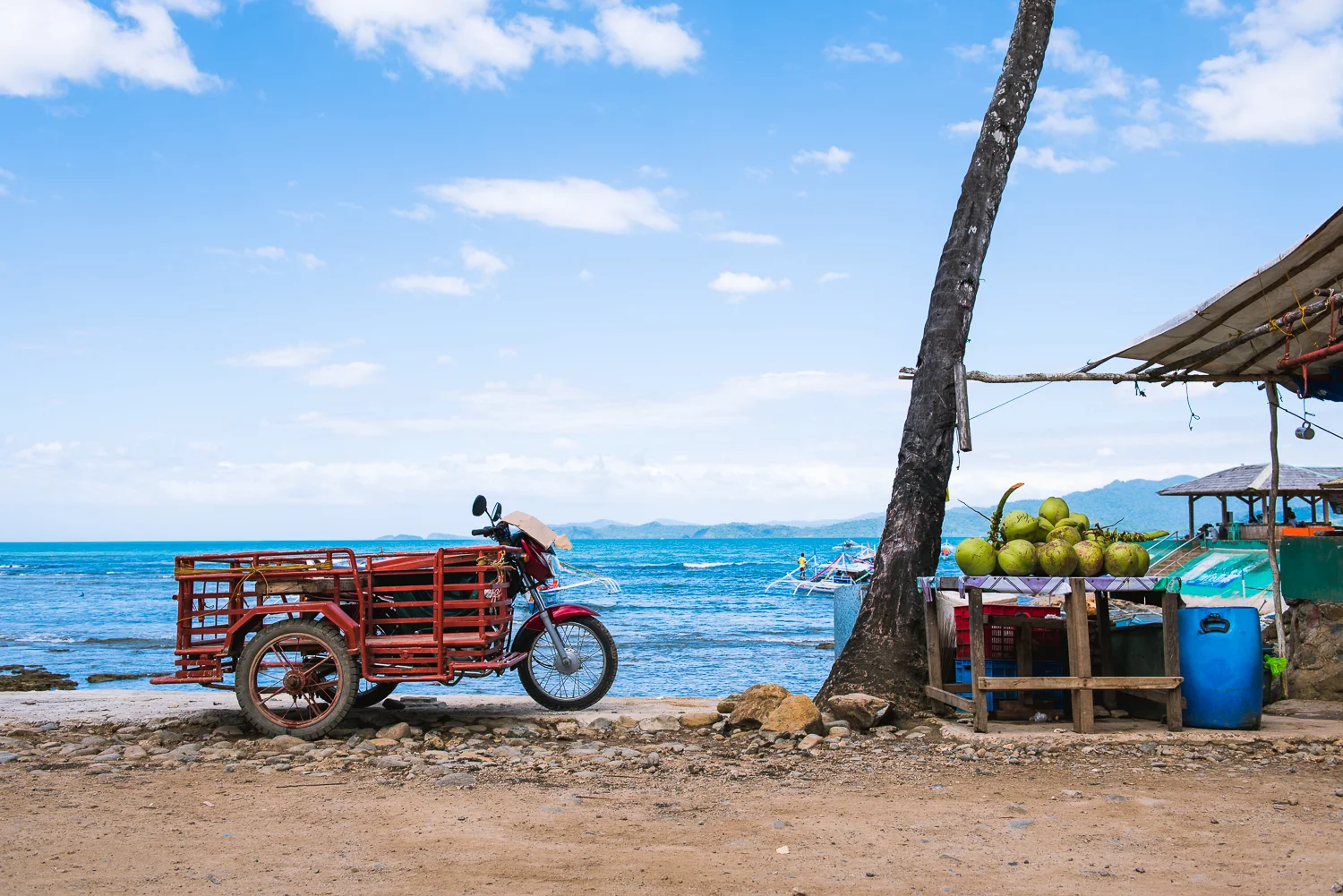 2016 Philippines Trip - Part 2 - Palawan LR-104.jpg