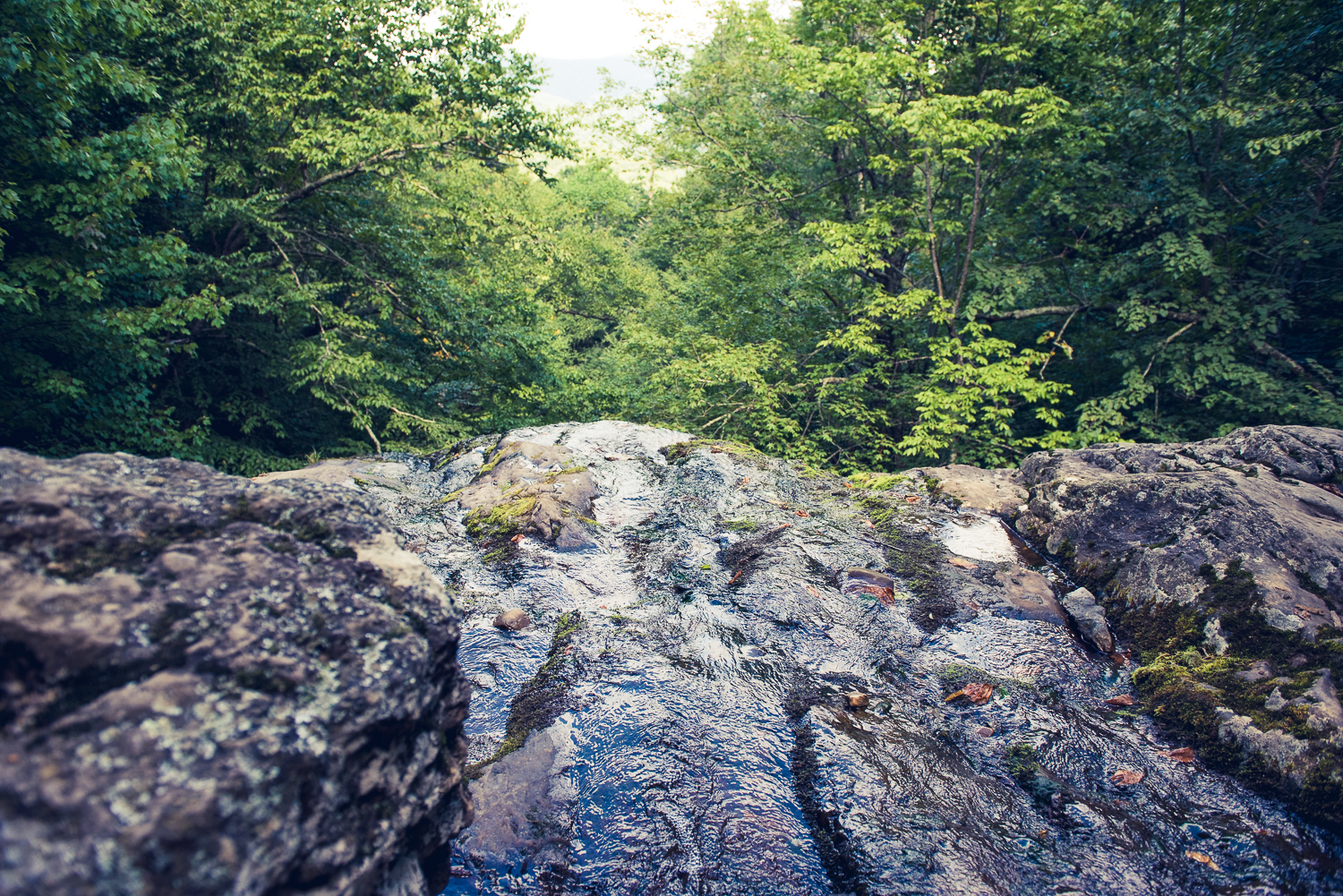 20160826 - Shenandoah National Park LR-13.jpg