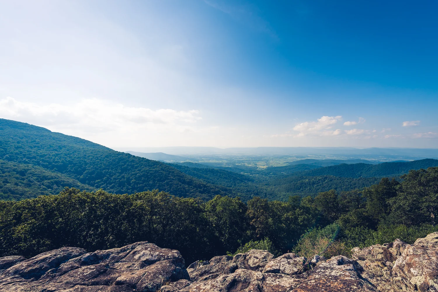 20160826 - Shenandoah National Park LR-21.jpg