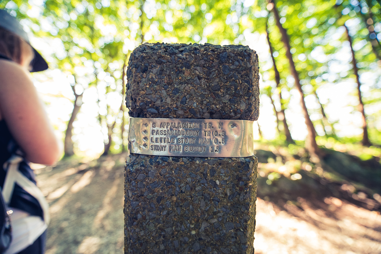 20160826 - Shenandoah National Park LR-22.jpg