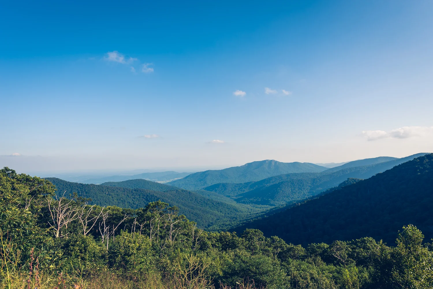20160826 - Shenandoah National Park LR-24.jpg