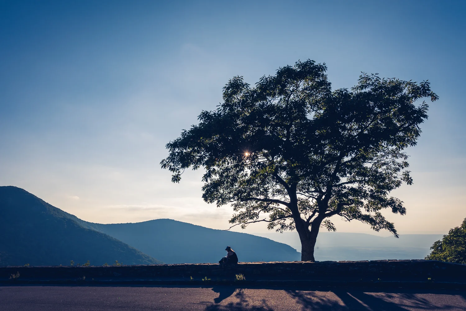 20160826 - Shenandoah National Park LR-26.jpg