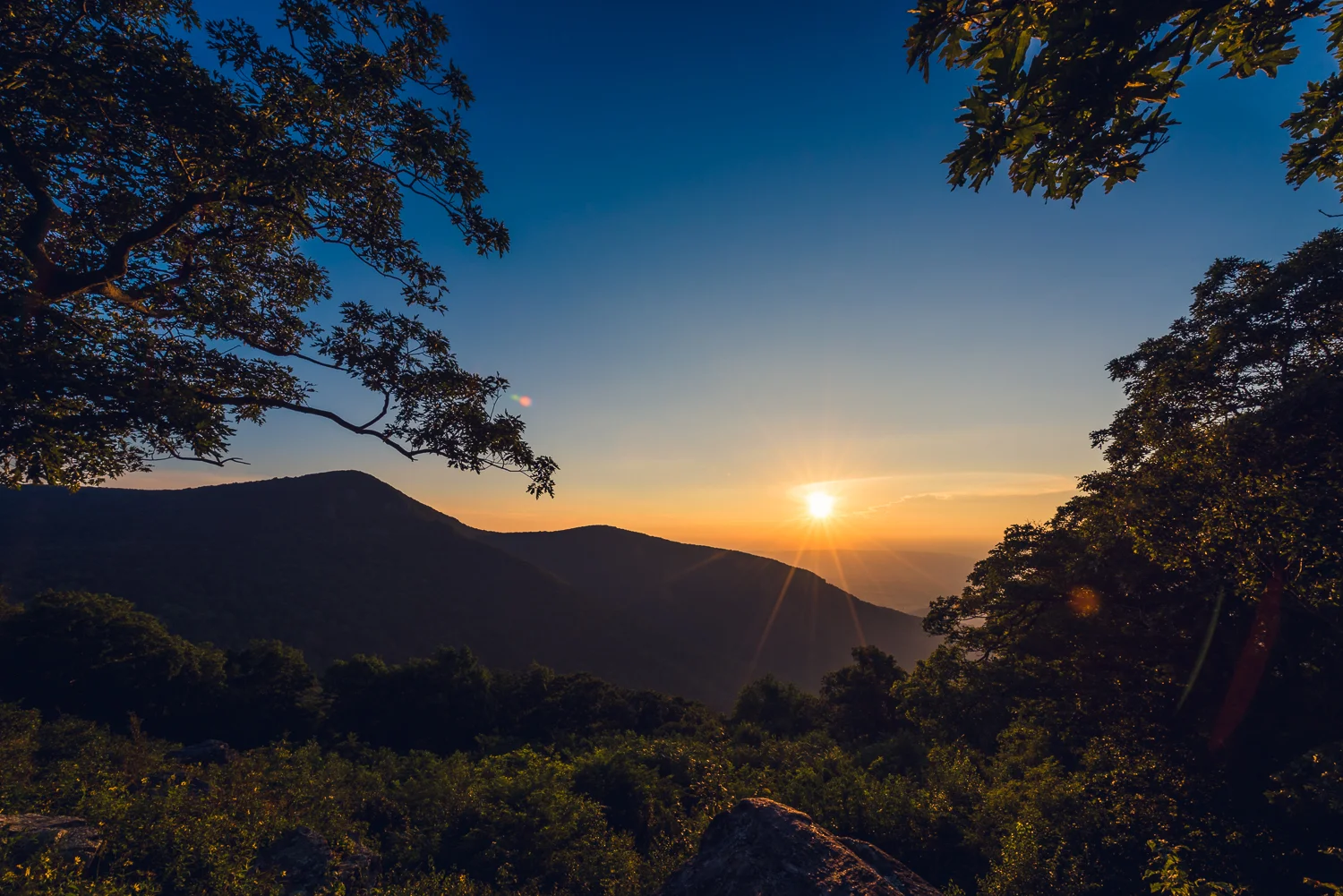 20160826 - Shenandoah National Park LR-27.jpg