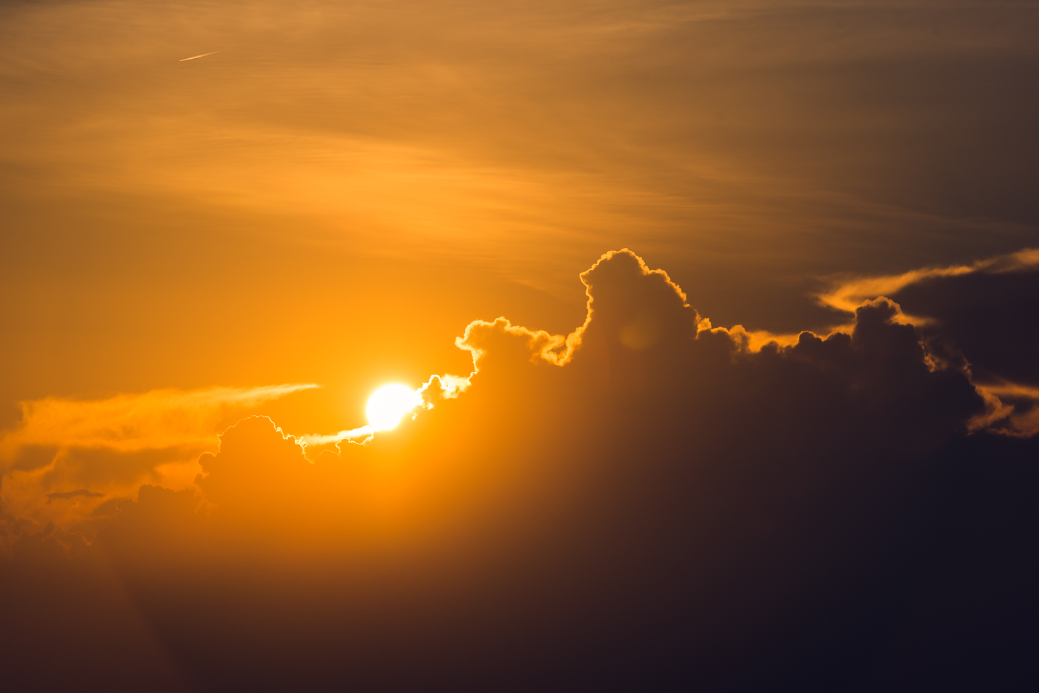 20160826 - Shenandoah National Park LR-29.jpg