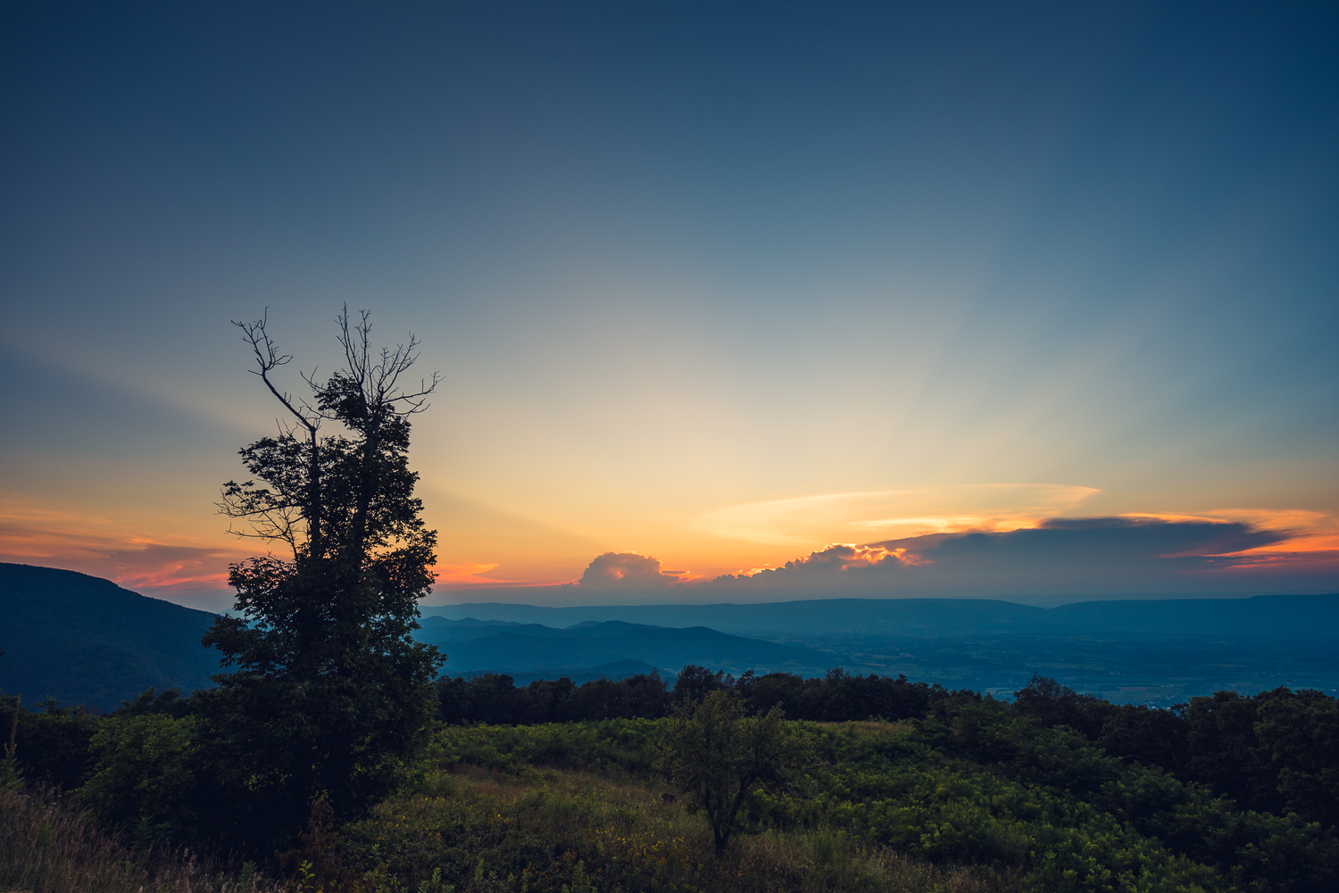 20160826 - Shenandoah National Park LR-31.jpg