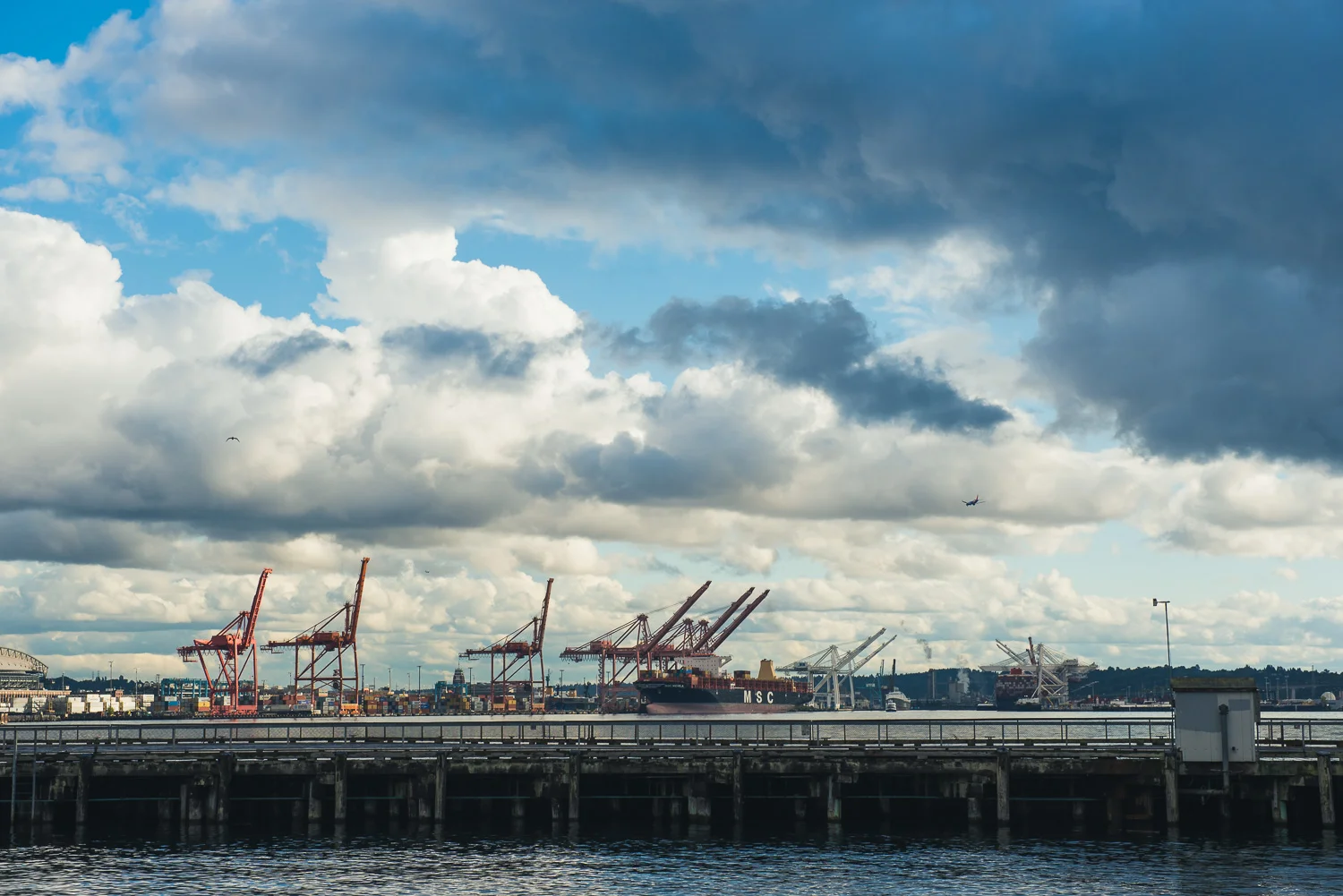 Seattle Trip LR-43.jpg