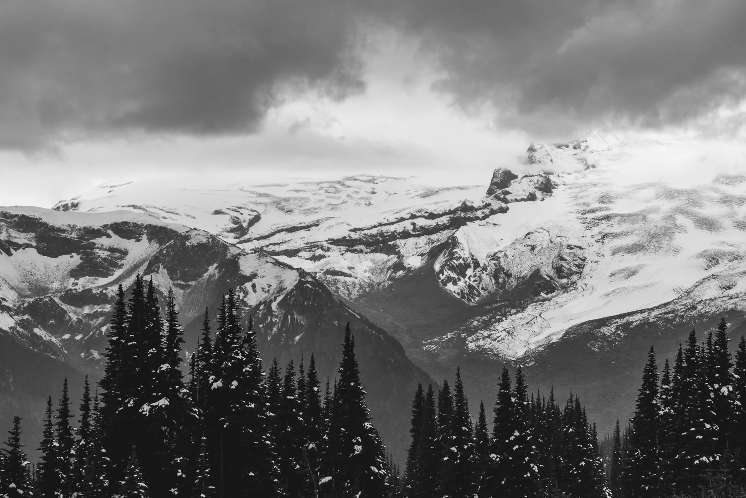 Seattle Trip LR-82.jpg
