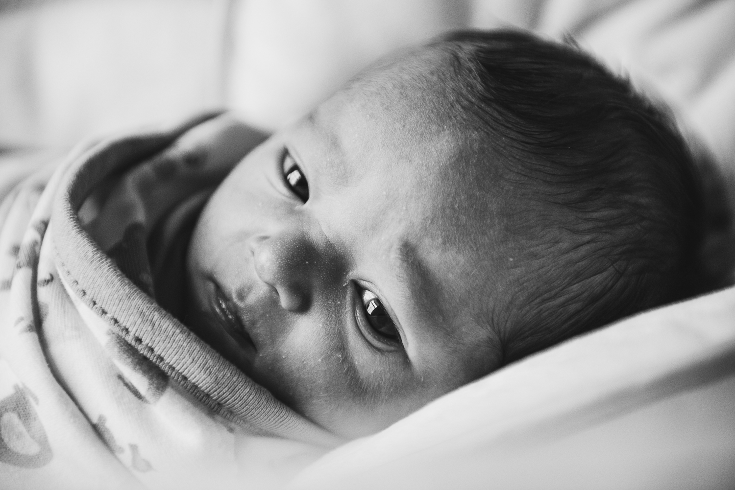 20180412 - Birth of Sydney LR-147.jpg