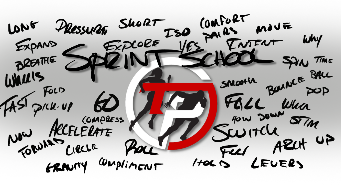 SPRINT SCHOOL GRAF FINAL .png