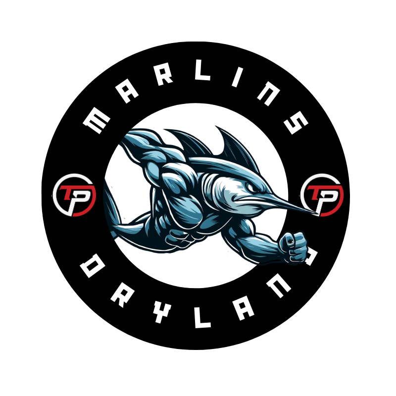 marlins logo.png