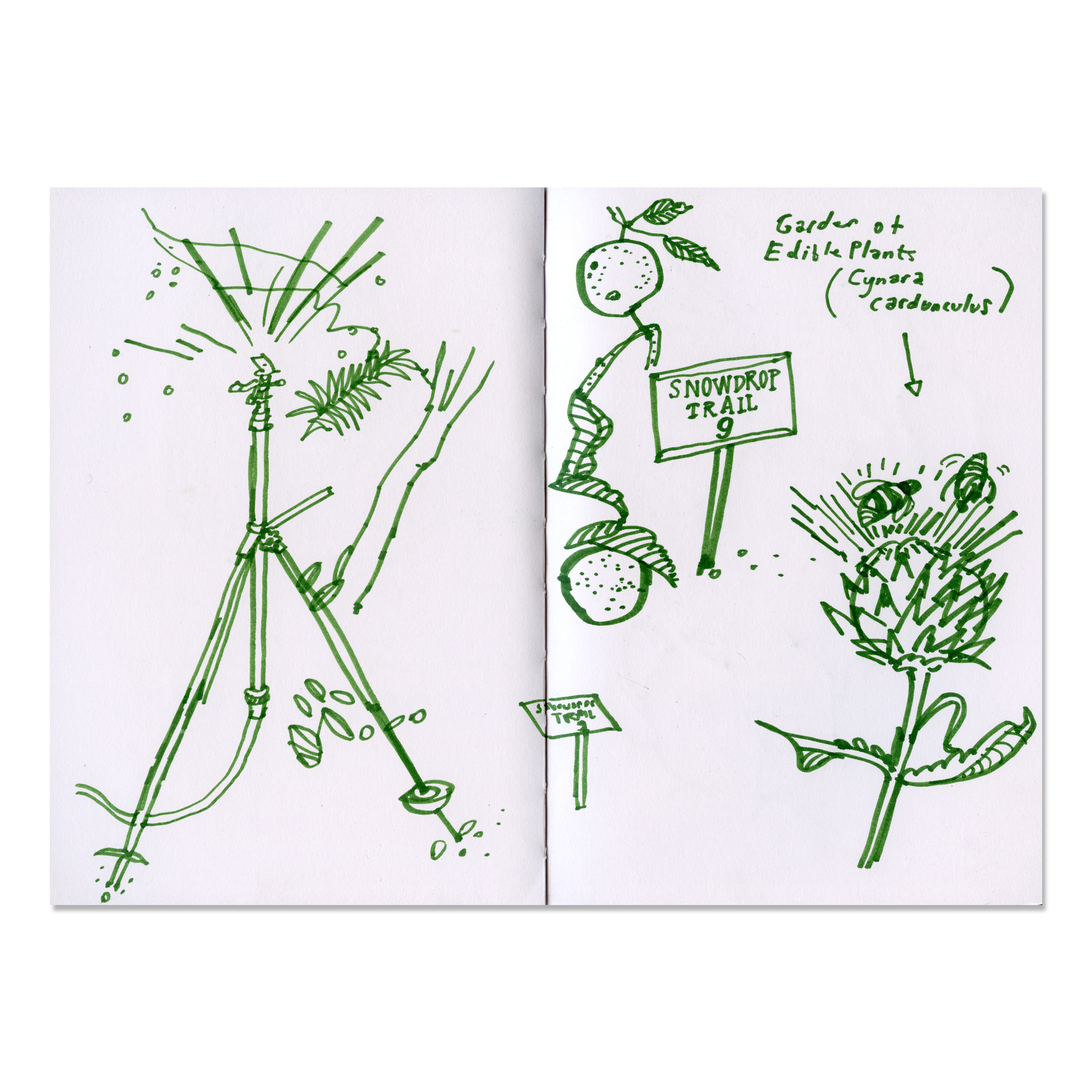 CPG-sketch-1.jpg
