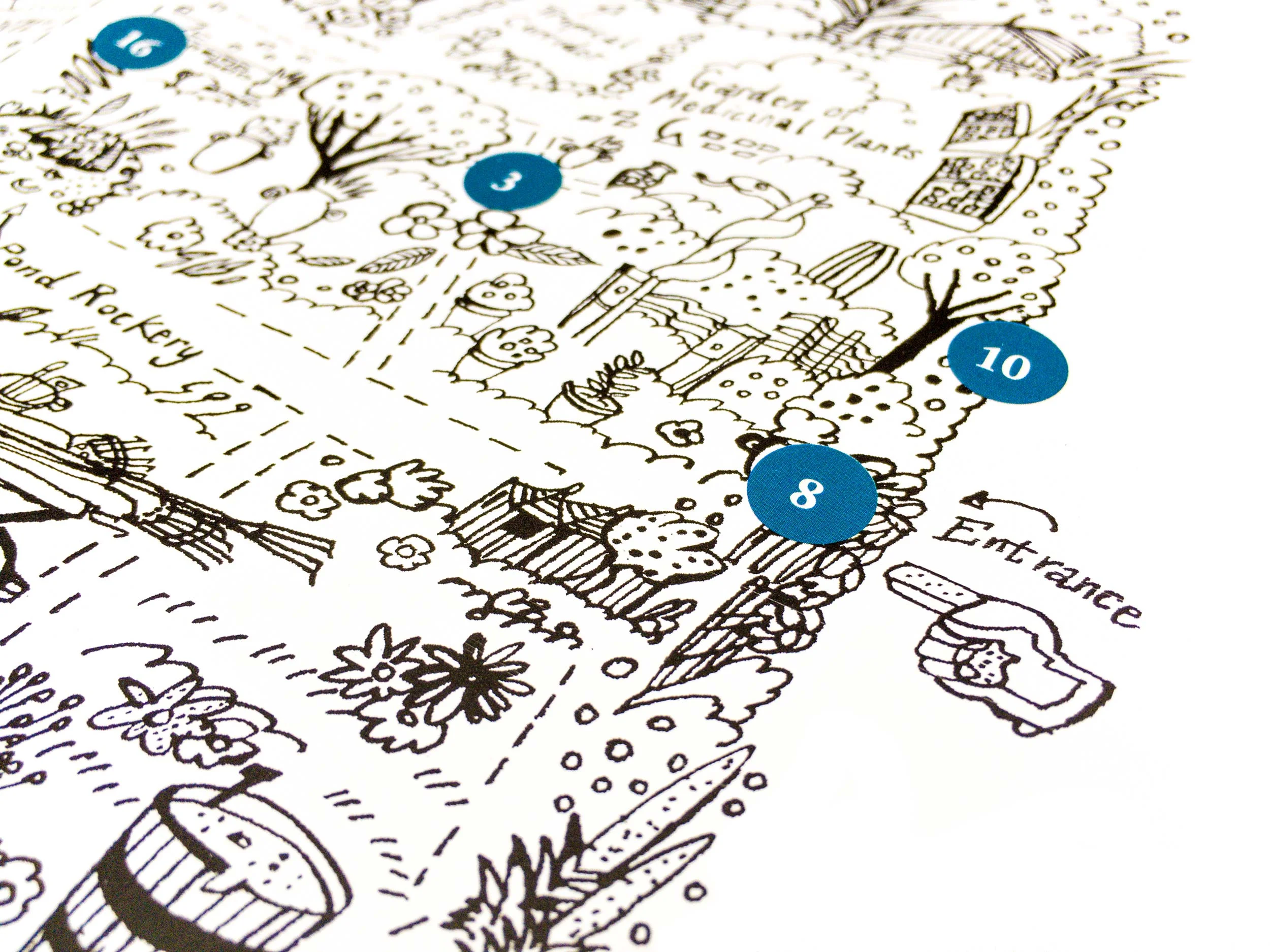 Chelsea Physic Garden leaflet by James Oses, image 3