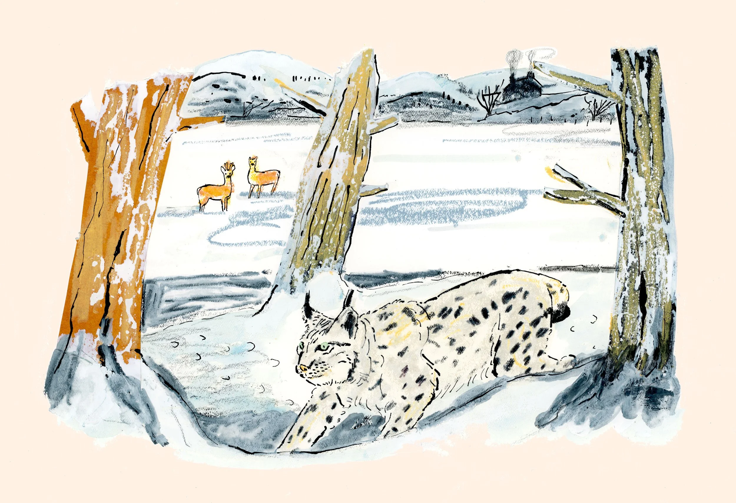 Jinxing-the-Lynx-FT-Weekend-James-Oses.jpg