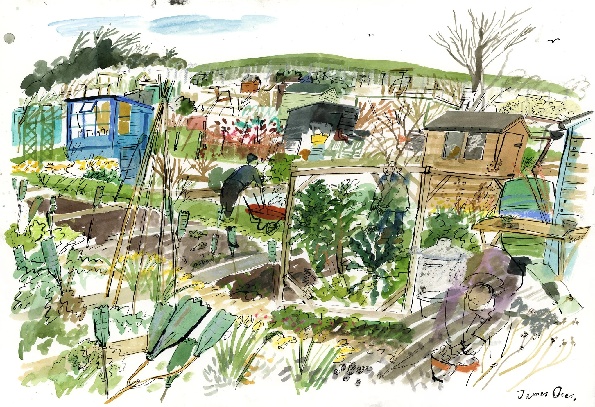 Stuart-Road-Allotments.jpg