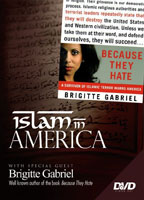 Islam in America