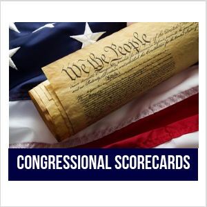 Congressional Scorecards