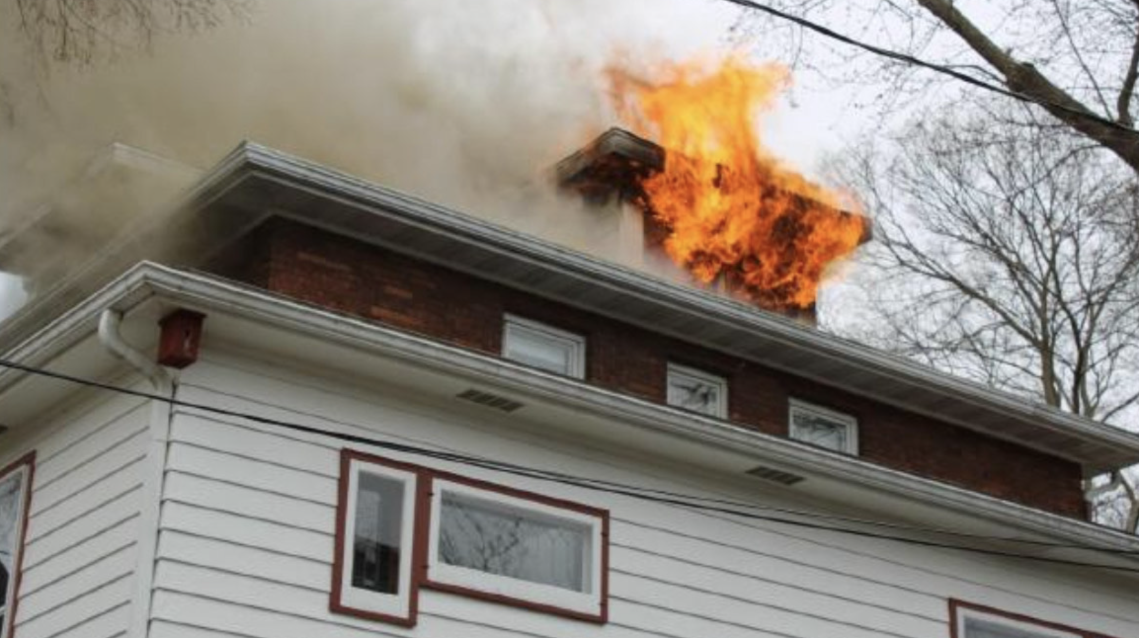 Screenshot 2026-02-18 at 2.41.42 PM.png