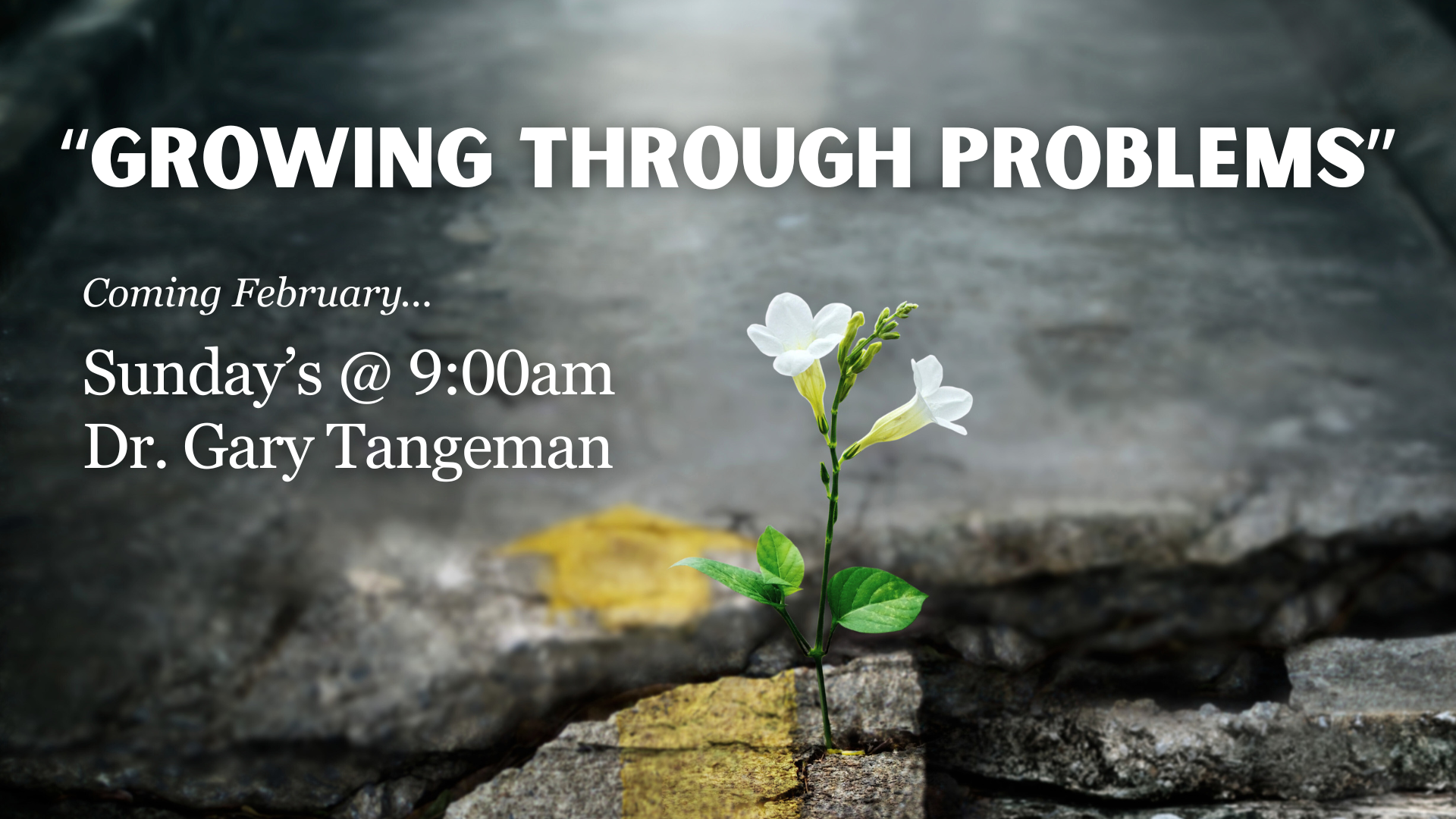 Growing Through Problems.png