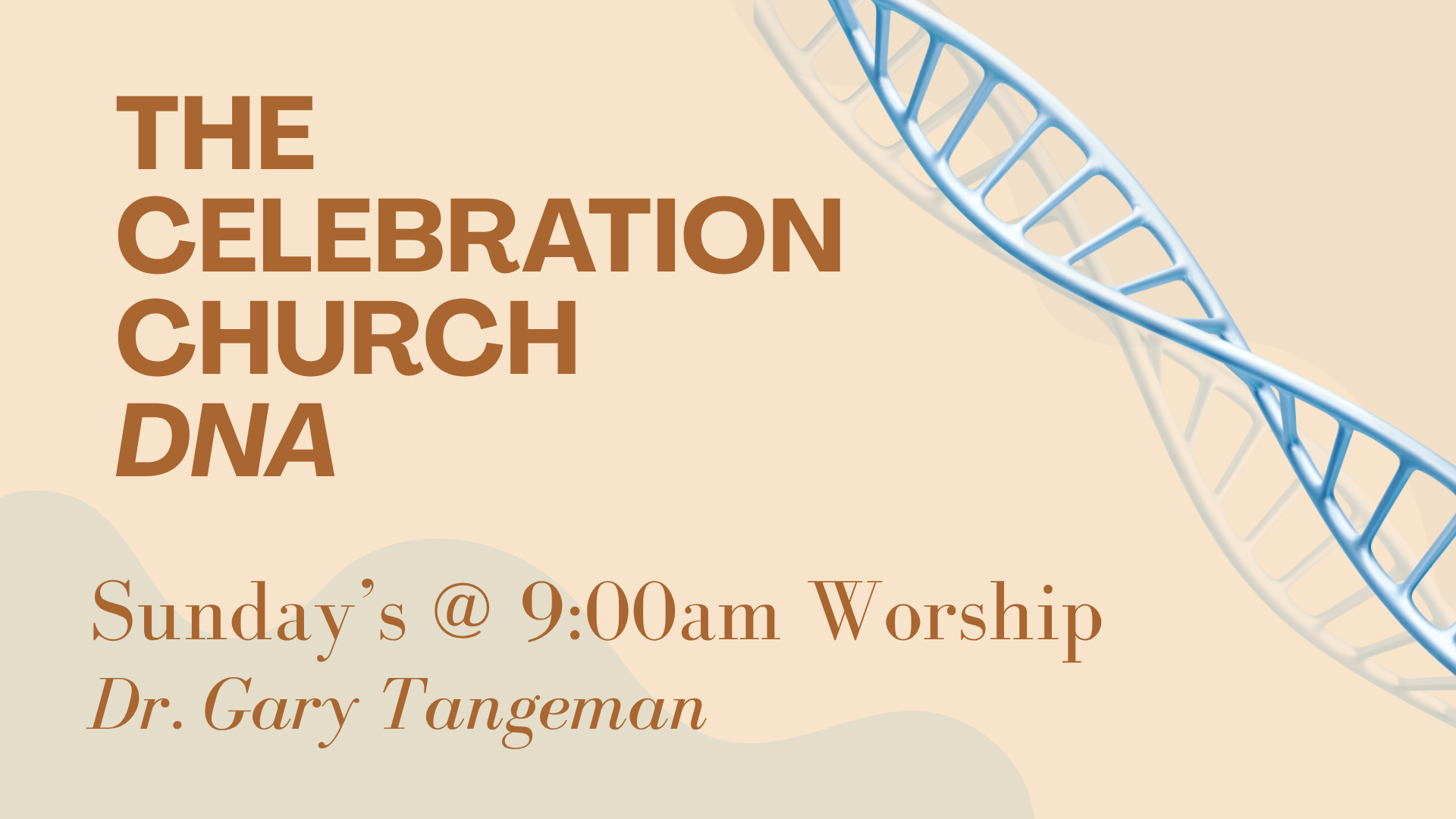 Celebration Church DNA.png