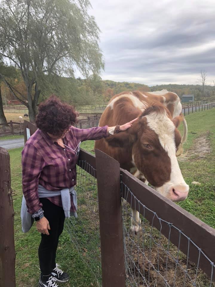 Catskill Animal Sanctuary